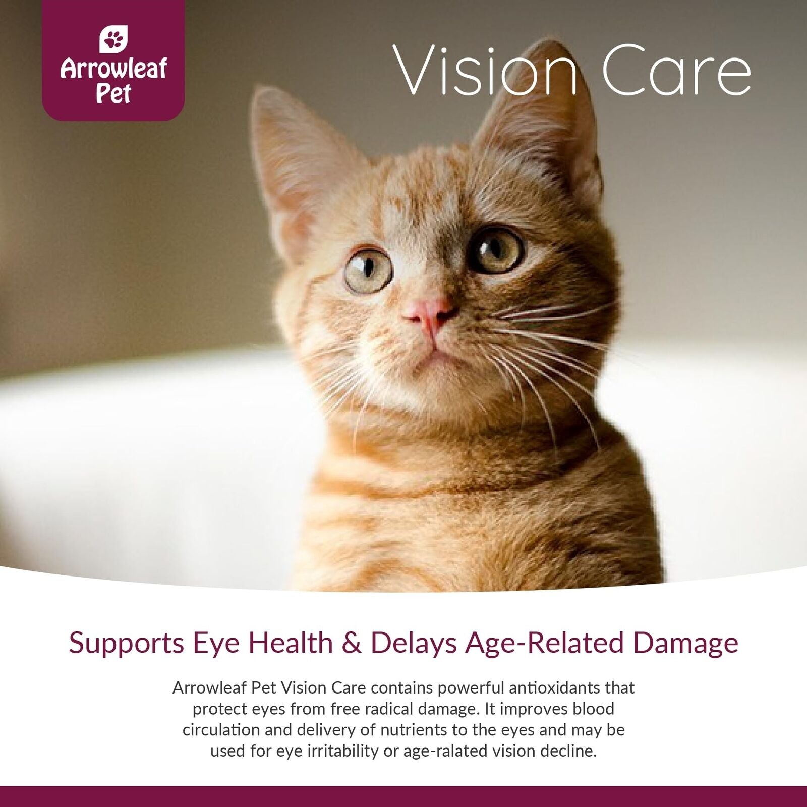 Vision Care by Naturpet Inc for Cats and Dogs | with Bilberry | Eye Support |...