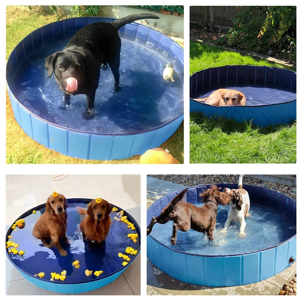 Foldable Indoor/Outdoor Pet Swimming Pool, Bath Tub, Wading Pool for Dogs and Cats, Blue, Xx-Large, 63"